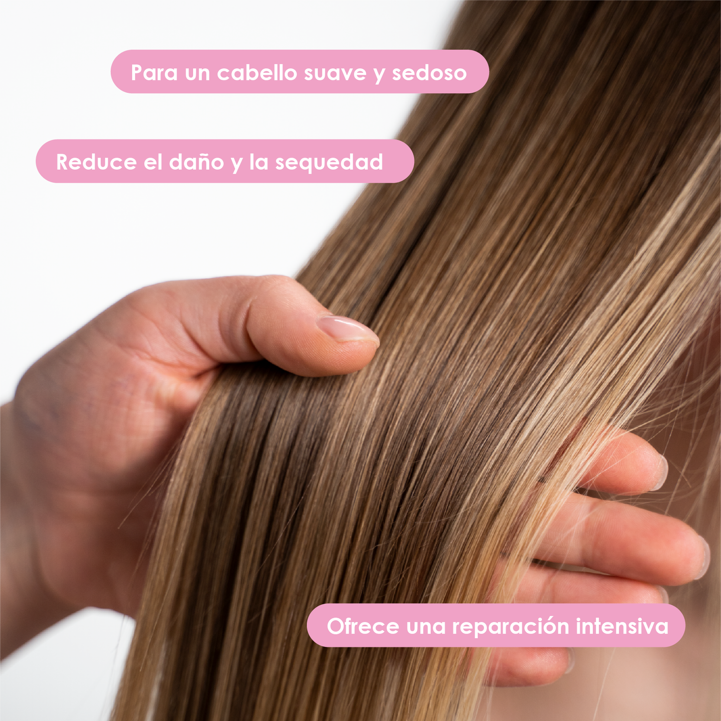 Tratamiento capilar- LUCIDO-L Hair Treatment Oil - Smooth Argan Rich - ALISA